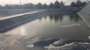 양식 새우 물고기 연못 농장 건설을위한 헤비 듀티 화이트 HDPE Geomembrane 물고기 연못 라이너 몰딩 등급 - Product Image 2