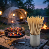 Milieuvriendelijke Xizhu bamboe BBQ spiesjes & satay stokjes - 100% biologisch afbreekbaar, voor gebruik tijdens kamperen, 80-100 stuks
