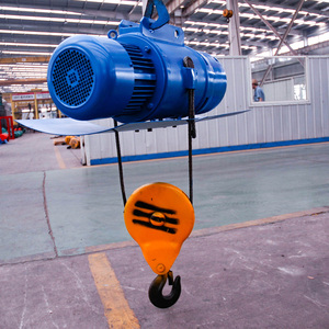 Factory Directly Supply Double Speed Lift Hoist Crane - Product Image 3
