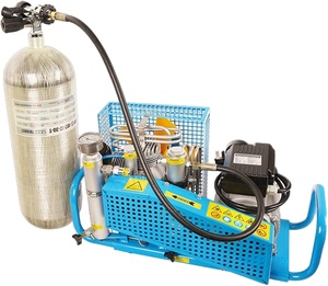 <span class=keywords><strong>Compresseur</strong></span> d'<span class=keywords><strong>air</strong></span> respiratoire à haute pression pour sport aquatique marin 100L 200L 300bar <span class=keywords><strong>Compresseur</strong></span> de remplissage de bouteilles de plongée sous-marine - Product Image 1