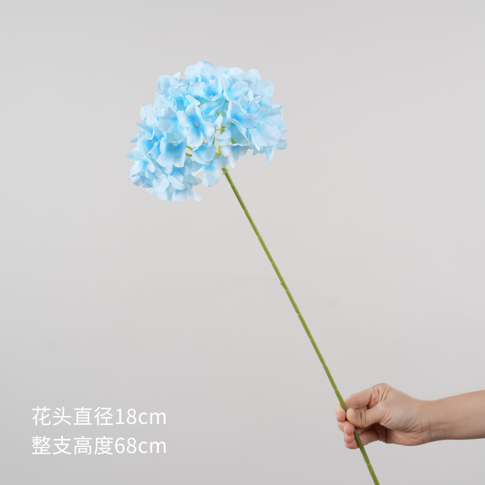 bleu clair