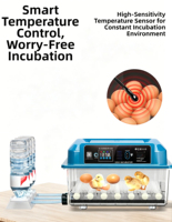 Offre Spéciale : Incubateur d'œufs 220V à double alimentation pour usage domestique et agricole (œufs de poulet, canard, pigeon) – Taux d'éclosion de 98 %, retournement automatique, économe en énergie