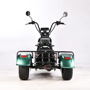 HM-3 EEC COC Skuter Elektrik Roda 3 Penjualan Terlaris Citycoco Moped Elektrik 1500W Harga Murah E-bike Dikirim dari Cina