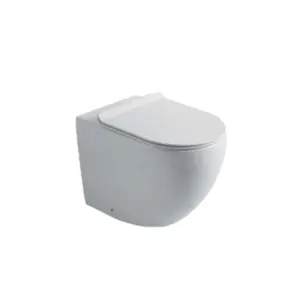 Ceramic Wc Hanging Toilet Wholesale Bathroom White OEM Acceptable