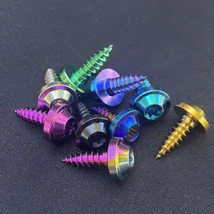 High Quality Gr5 Titanium Alloy Colorful M5*18 Titanium Self Tapping Screw Motorcycle By PYTITANS