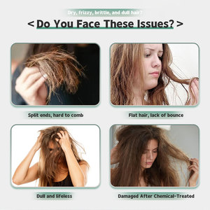 Acondicionador Capilar Nutritivo y Alisante de Grado Profesional BREMOD, Amplificador de Enlaces, Anti-Frizz, Tratamiento de Cuidado Diario - Product Image 3