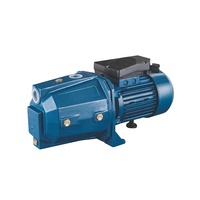 Pompe à eau électrique OEM JET Booster haute pression auto-amorçante avec turbine en laiton et bobine 100% cuivre pour traitement de l'eau potable 1