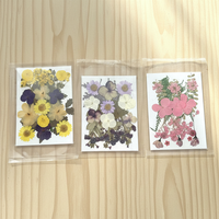 Kit de matériaux de sculpture sur feuilles DIY en lot mixte, fleurs séchées, plantes naturelles pressées, décoration artisanale, fournitures d'art, vente en gros