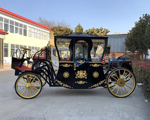 Élégante et magnifique calèche en acier pour visites touristiques, calèche carrée noire, calèches à chevaux à vendre - Product Image 6