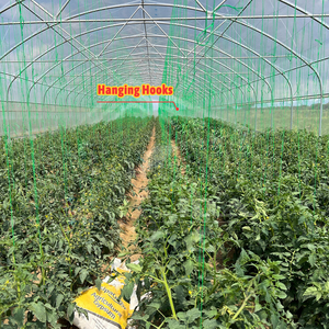 Serra Agricola Monocampata in Film Plastico BAOLIDA per <span class=keywords><strong>Semi</strong></span> di <span class=keywords><strong>Pomodoro</strong></span> - Product Image 3