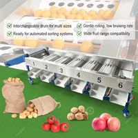 Industriële sorteermachine voor kokosnoot, bosbes, granaatappel, perzik, jujube, knoflook en ander fruit.