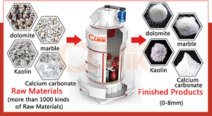 เครื่องบดแร่แบบเรย์มอนด์ขนาดเล็ก ราคาประหยัด ใช้กันอย่างแพร่หลาย พร้อมตัวเก็บฝุ่น - Product Image 6