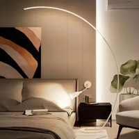 Noir Métal Arc Debout Lumière Canapé Coin Simple Moderne Oem Led Salon Pêche Lampadaires