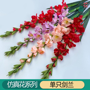 Gladiolus artificiel à tige unique, fleur en soie, décoration de mariage, style moderne, fait main, longue durée, couleurs mélangées - Product Image 2