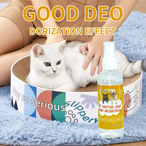Profumo per Cani Ecologico <span class=keywords><strong>con</strong></span> Etichetta Privata, Spray <span class=keywords><strong>Deodorante</strong></span> per Ambienti Interni <span class=keywords><strong>con</strong></span> <span class=keywords><strong>Oli</strong></span> <span class=keywords><strong>Essenziali</strong></span>, Sicuro per Animali - Product Image 5