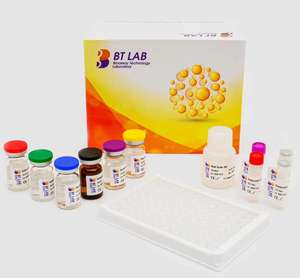 Facteur de <span class=keywords><strong>nécrose</strong></span> <span class=keywords><strong>tumorale</strong></span> humaine E0082Hu Alpha, KIT TNFA ELISA - Product Image 5