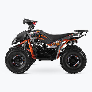 Tao Motor 150cc Quad Pas Cher - Product Image 5