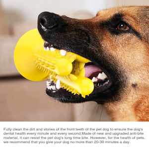 Jouets à mâcher pour chiens en forme de <span class=keywords><strong>cactus</strong></span> en caoutchouc durable Jouet pour chien sûr et environnemental - Product Image 6