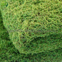 Mur végétal artificiel en mousse, toile de fond réaliste, tapis de mousse artificielle naturelle pour la décoration de pelouse
