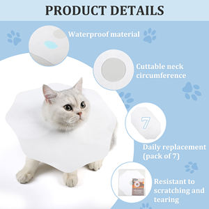 <span class=keywords><strong>Collar</strong></span> de cono para perros Cono flexible desechable para perros después de la cirugía <span class=keywords><strong>Collar</strong></span> de recuperación para perros - Product Image 4