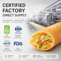 Rouleaux de printemps croustillants aux légumes halal surgelés, emballage personnalisé OEM/ODM, ligne de snacks dim sum surgelés fournie par l'usine