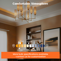 Ampoule LED à filament vintage haut de gamme T10A 4W 450lm E26 CRI 80, dimmable, éclairage d'ambiance élégant pour bars, cafés et commerces