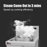 Dmwd — cuiseur à vapeur électrique professionnel, 15kw, à Induction, pour Restaurant