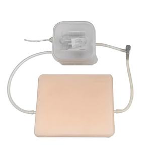 अल्ट्रासोनिक पंक्चर फैंटम व्यापक प्रशिक्षण मॉडल जिसमें रक्त वाहिकाओं ट्यूमर तंत्रिकाओं और साइस्ट - Product Image 1