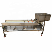 Machine de triage automatique, pour faire des lignes de fruits, couleur Olive, orange, raisin