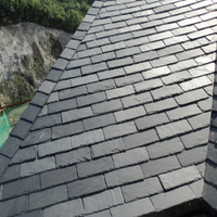 Tuiles en ardoise noire naturelle chinoise bon marché, surface fendue, résistantes aux acides, pour revêtement mural extérieur et toitures de villas