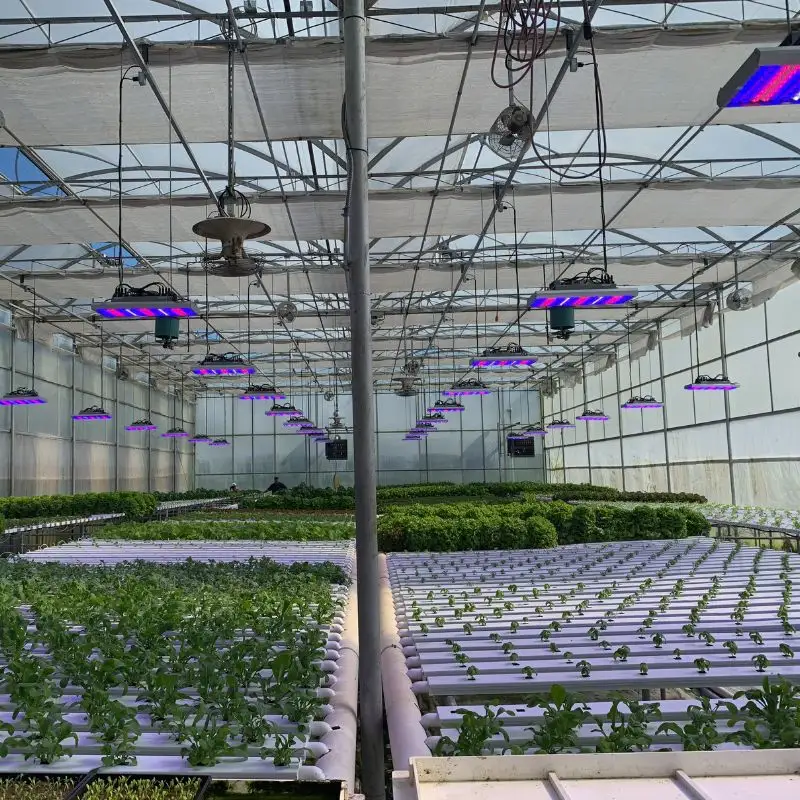 Sansi高効率640W800W1000Wフルスペクトル商用LEDグローライト水耕栽培屋内植物医療植物用