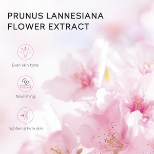 Laikou japon extrait de Sakura nettoyage en profondeur du corps douche peau lissant <span class=keywords><strong>Anti</strong></span> acné éclaircir hydratant SPA <span class=keywords><strong>bombe</strong></span> de bain moussant - Product Image 5