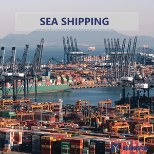 Transporteur Chine Dropshipping Services de contrôle de qualité d'inspection DHL Agent maritime Espagne Italie pour le camionnage ferroviaire - Product Image 3