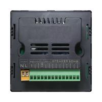 Amplificateur de voiture portable mini professionnel de haute qualité 20W en aluminium pour système de musique d'ambiance avec télécommande
