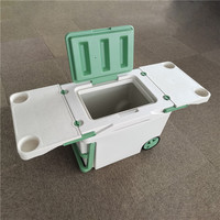 Pique-nique en plein air pliable aliments frais glacière Portable en plastique Table pliante boîte isolée avec poignée et roues