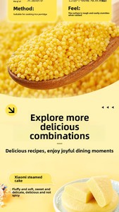 Récolte 2025 <span class=keywords><strong>Millet</strong></span> Aohan Golden Sprout authentique de Mongolie Intérieure 5 lb Emballage sous vide Céréales mélangées portables 365 jours - Product Image 6