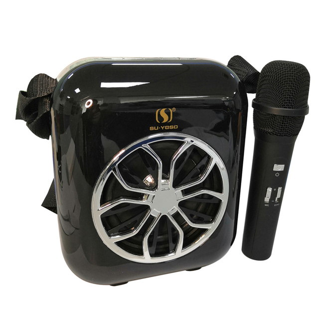 Best Professional PA BT Portable Audio Karaoke Speaker with Wireless Hi-fi MicrophoneYS-A20