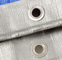 Bâche imperméable standard en polyéthylène, tissu PE imperméable argenté/bleu pour tentes de réception, bâches de bateau et couvertures de piscine