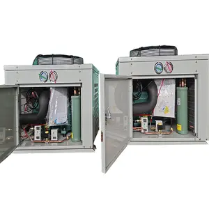 Sıcak satış otomatik soğutma ünitesi R134 soğutuculu konteyner kompresör yoğuşmalı ünitesi için soğuk depolama odası fabrikaları Bitzer