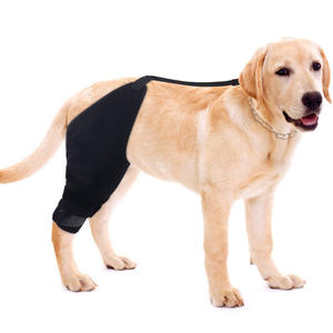 Tutore per gamba del cane ortopedico in Neoprene per Pet supporto per le ginocchia Pet protettore per il recupero delle gambe tutore per il guinzaglio del cane riduce il dolore articolare ginocchiera del cane - Product Image 1