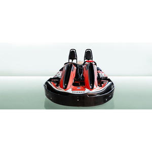FL200D Dual Control Go Kart Family Entertainment Corps léger Faible coût d'exploitation - Product Image 3