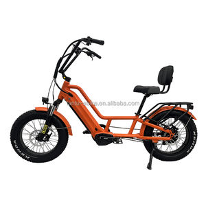 Personnalisé 20 pouces 2 <span class=keywords><strong>roues</strong></span> 48v batterie au lithium 750w <span class=keywords><strong>vélo</strong></span> <span class=keywords><strong>couché</strong></span> - Product Image 3