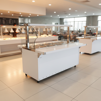 Chauffe-Plats Électrique Commercial 5 Bacs en Acier Inoxydable 304, Bain-Marie Professionnel 1500-3000W avec Contrôle de Température