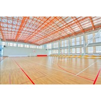 Estructura de acero prefabricada, salón deportivo, instalaciones de práctica interior, construcción