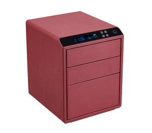 Cerradura <span class=keywords><strong>Digital</strong></span> Electrónica Chuanwei, Cajones de Seguridad Multinivel, Colores Personalizables, LCD, Huella <span class=keywords><strong>Digital</strong></span>, Caja de Seguridad PARA EL Hogar, 1 Unidad, 2 Unidades - Product Image 1