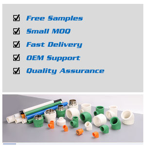 Vente directe d'usine, raccords de tuyauterie en PPR de marque <span class=keywords><strong>MG</strong></span>, certifiés GS, garantie de 3 ans, pour l'alimentation en eau et le drainage des bâtiments, <span class=keywords><strong>plomberie</strong></span> en plastique - Product Image 6