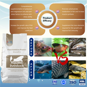 पशु फ़ीड एडिटिव्स पाउडर मछली विकास बूस्टर वजन बढ़ाने के लिए खनिजों का प्रीमियर बूस्टर खनिज बूस्टर - Product Image 3