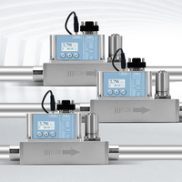 Alat Ukur Aliran Massa Gas Termal Mikro untuk Gas Industri, Udara Terkompresi/Gas Alam 4-20mA RS485