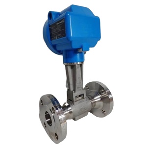 Débitmètre Endress+Hauser d'origine 72F25 DN25 25 mm (1 pouce) en acier inoxydable 316L pour mesurer le débit de liquide/gaz - Product Image 1