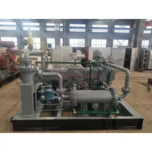 2022 New Arrival Factory Manufacturer 5 Stage Reciprocating Biogas Compressor